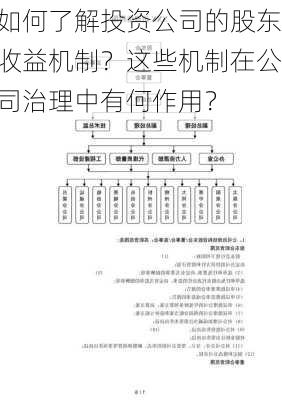 如何了解投资公司的股东收益机制？这些机制在公司治理中有何作用？