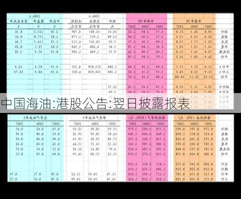 中国海油:港股公告:翌日披露报表