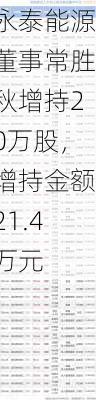 永泰能源董事常胜秋增持20万股，增持金额21.4万元