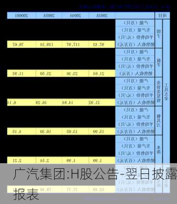 广汽集团:H股公告-翌日披露报表