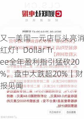 又一美国一元店巨头亮消费红灯！Dollar Tree全年盈利指引猛砍20%，盘中大跌超20%｜财报见闻