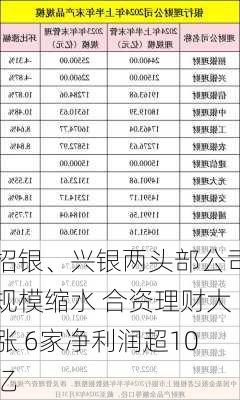 招银、兴银两头部公司规模缩水 合资理财大涨 6家净利润超10亿