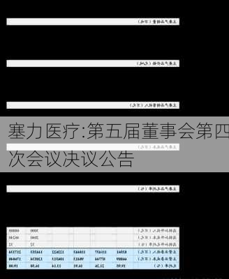 塞力医疗:第五届董事会第四次会议决议公告