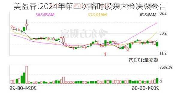 美盈森:2024年第二次临时股东大会决议公告