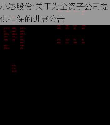 小崧股份:关于为全资子公司提供担保的进展公告