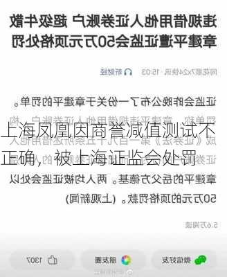 上海凤凰因商誉减值测试不正确，被上海证监会处罚