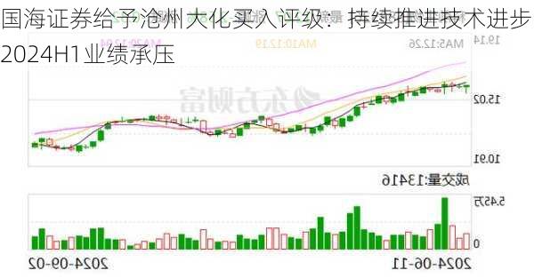 国海证券给予沧州大化买入评级：持续推进技术进步，2024H1业绩承压