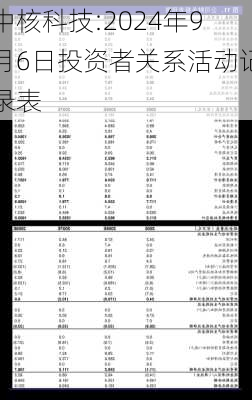 中核科技:2024年9月6日投资者关系活动记录表