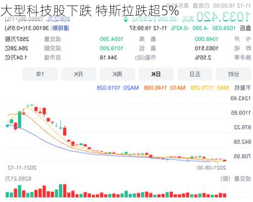 大型科技股下跌 特斯拉跌超5%