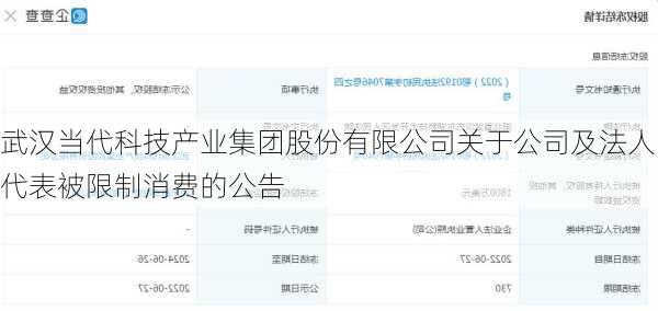 武汉当代科技产业集团股份有限公司关于公司及法人代表被限制消费的公告