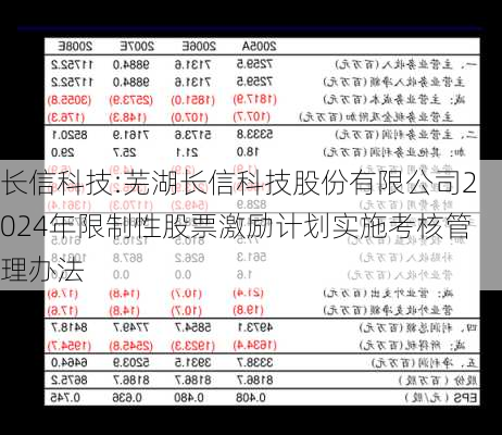 长信科技:芜湖长信科技股份有限公司2024年限制性股票激励计划实施考核管理办法