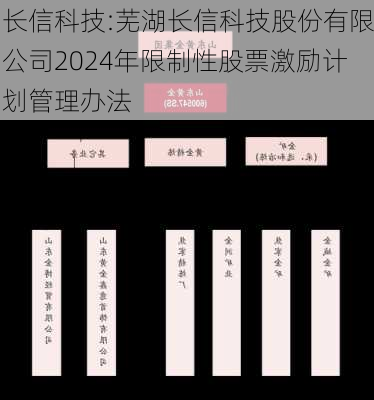 长信科技:芜湖长信科技股份有限公司2024年限制性股票激励计划管理办法