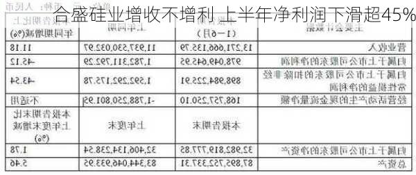 合盛硅业增收不增利 上半年净利润下滑超45%