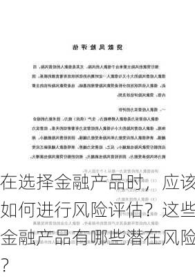 在选择金融产品时，应该如何进行风险评估？这些金融产品有哪些潜在风险？