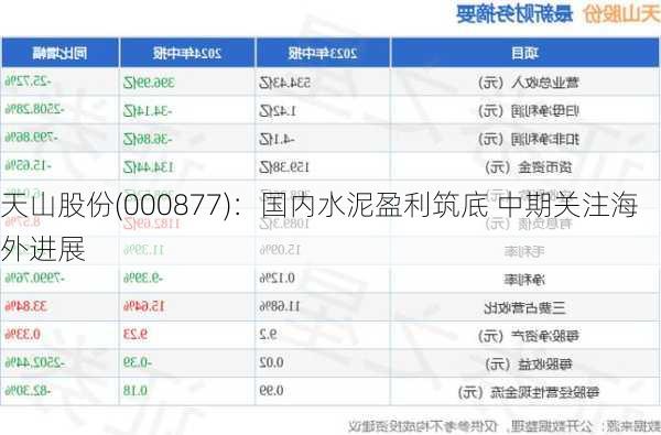 天山股份(000877)：国内水泥盈利筑底 中期关注海外进展