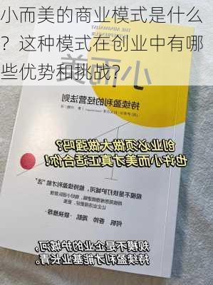 小而美的商业模式是什么？这种模式在创业中有哪些优势和挑战？