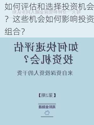 如何评估和选择投资机会？这些机会如何影响投资组合？