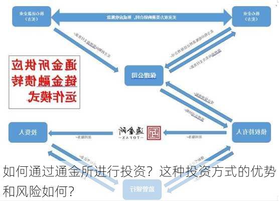 如何通过通金所进行投资？这种投资方式的优势和风险如何？