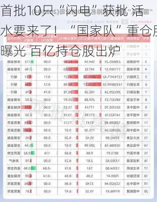 首批10只“闪电”获批 活水要来了！“国家队”重仓股曝光 百亿持仓股出炉