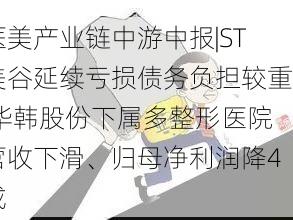 医美产业链中游中报|ST美谷延续亏损债务负担较重 华韩股份下属多整形医院营收下滑、归母净利润降4成