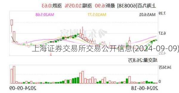 上海证券交易所交易公开信息(2024-09-09)