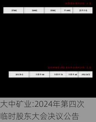 大中矿业:2024年第四次临时股东大会决议公告