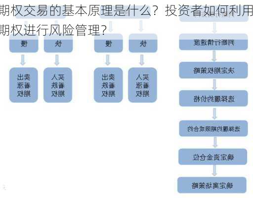 期权交易的基本原理是什么？投资者如何利用期权进行风险管理？