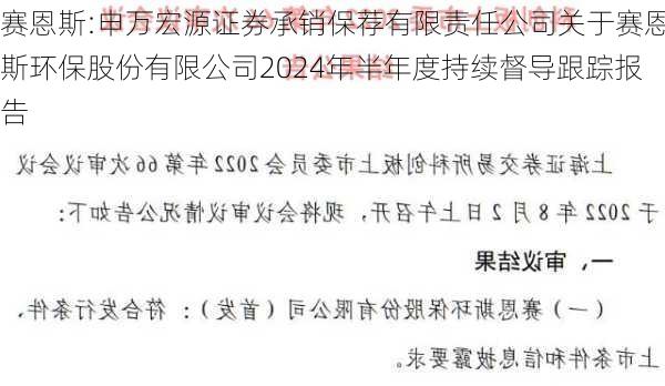 赛恩斯:申万宏源证券承销保荐有限责任公司关于赛恩斯环保股份有限公司2024年半年度持续督导跟踪报告