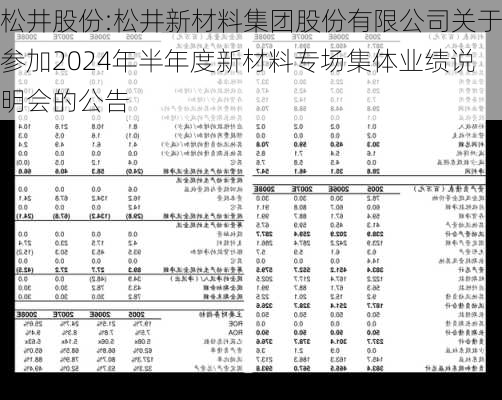 松井股份:松井新材料集团股份有限公司关于参加2024年半年度新材料专场集体业绩说明会的公告