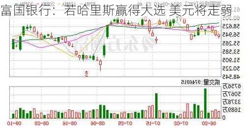 富国银行：若哈里斯赢得大选 美元将走弱