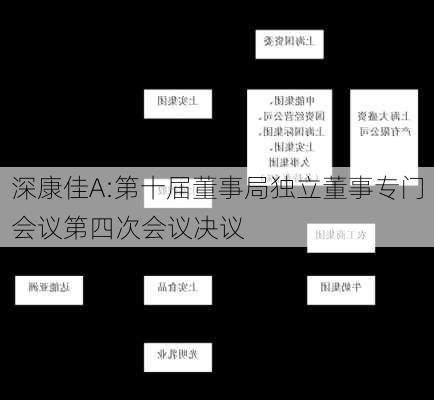 深康佳A:第十届董事局独立董事专门会议第四次会议决议