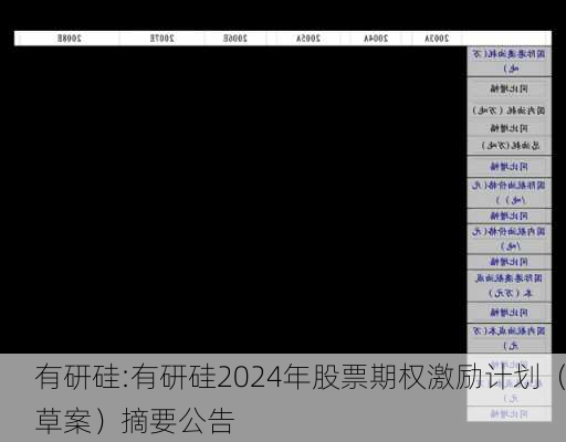 有研硅:有研硅2024年股票期权激励计划（草案）摘要公告