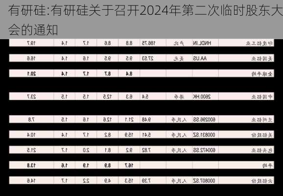 有研硅:有研硅关于召开2024年第二次临时股东大会的通知