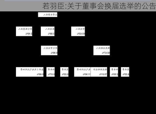 若羽臣:关于董事会换届选举的公告