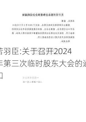 若羽臣:关于召开2024年第三次临时股东大会的通知