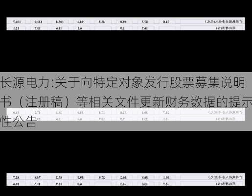 长源电力:关于向特定对象发行股票募集说明书（注册稿）等相关文件更新财务数据的提示性公告