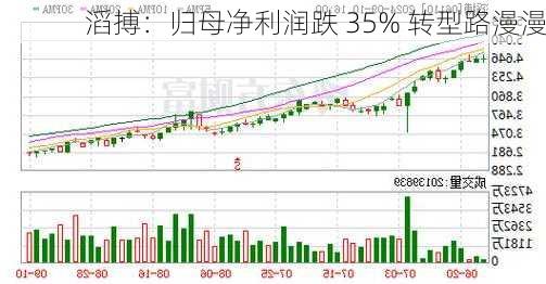 滔搏：归母净利润跌 35% 转型路漫漫