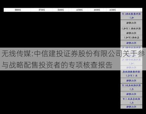 无线传媒:中信建投证券股份有限公司关于参与战略配售投资者的专项核查报告