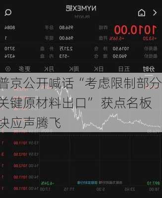 普京公开喊话“考虑限制部分关键原材料出口” 获点名板块应声腾飞