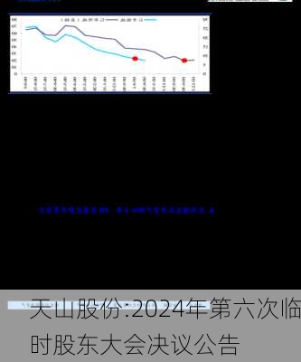 天山股份:2024年第六次临时股东大会决议公告