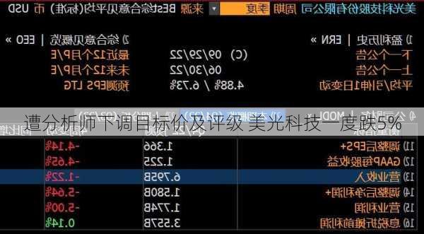 遭分析师下调目标价及评级 美光科技一度跌5%