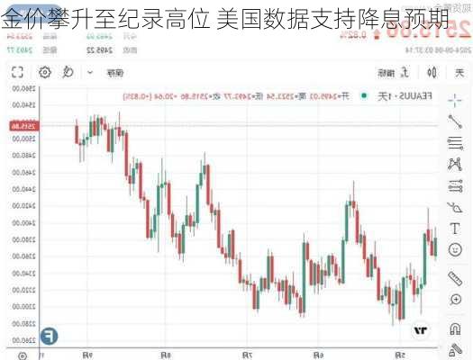 金价攀升至纪录高位 美国数据支持降息预期