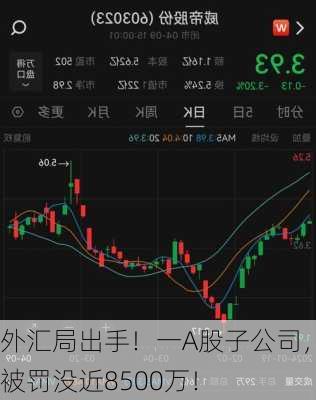 外汇局出手！一A股子公司，被罚没近8500万！