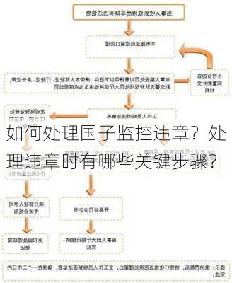 如何处理国子监控违章？处理违章时有哪些关键步骤？