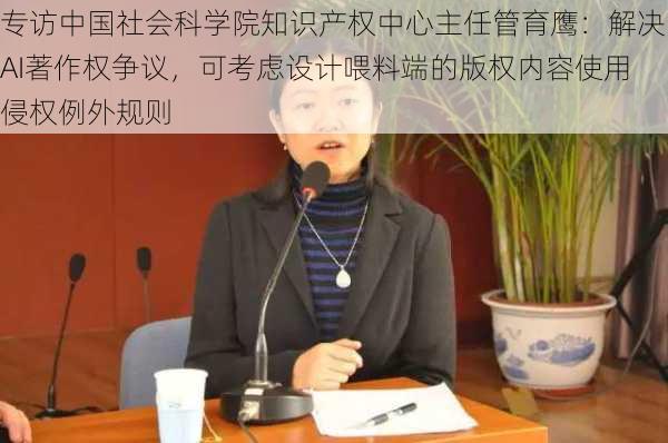 专访中国社会科学院知识产权中心主任管育鹰：解决AI著作权争议，可考虑设计喂料端的版权内容使用侵权例外规则