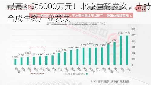 最高补助5000万元！北京重磅发文，支持合成生物产业发展