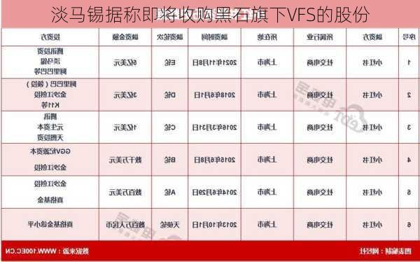 淡马锡据称即将收购黑石旗下VFS的股份