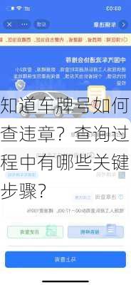 知道车牌号如何查违章？查询过程中有哪些关键步骤？