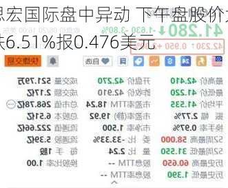 思宏国际盘中异动 下午盘股价大跌6.51%报0.476美元