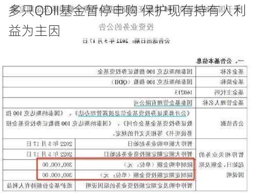 多只QDII基金暂停申购 保护现有持有人利益为主因